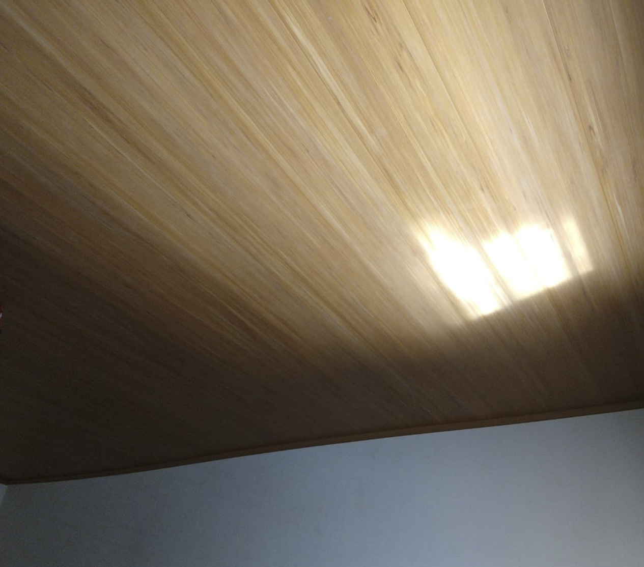 Galeria 12